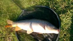Fishing Syndicate of to a good start in 2017