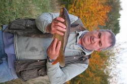 Common Carp caught summer 2016