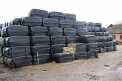 Haylage supplier top quality meadow grass