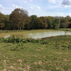 View of the Top Lake