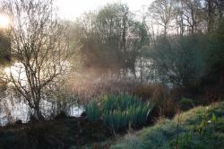 Bottom Lake in April